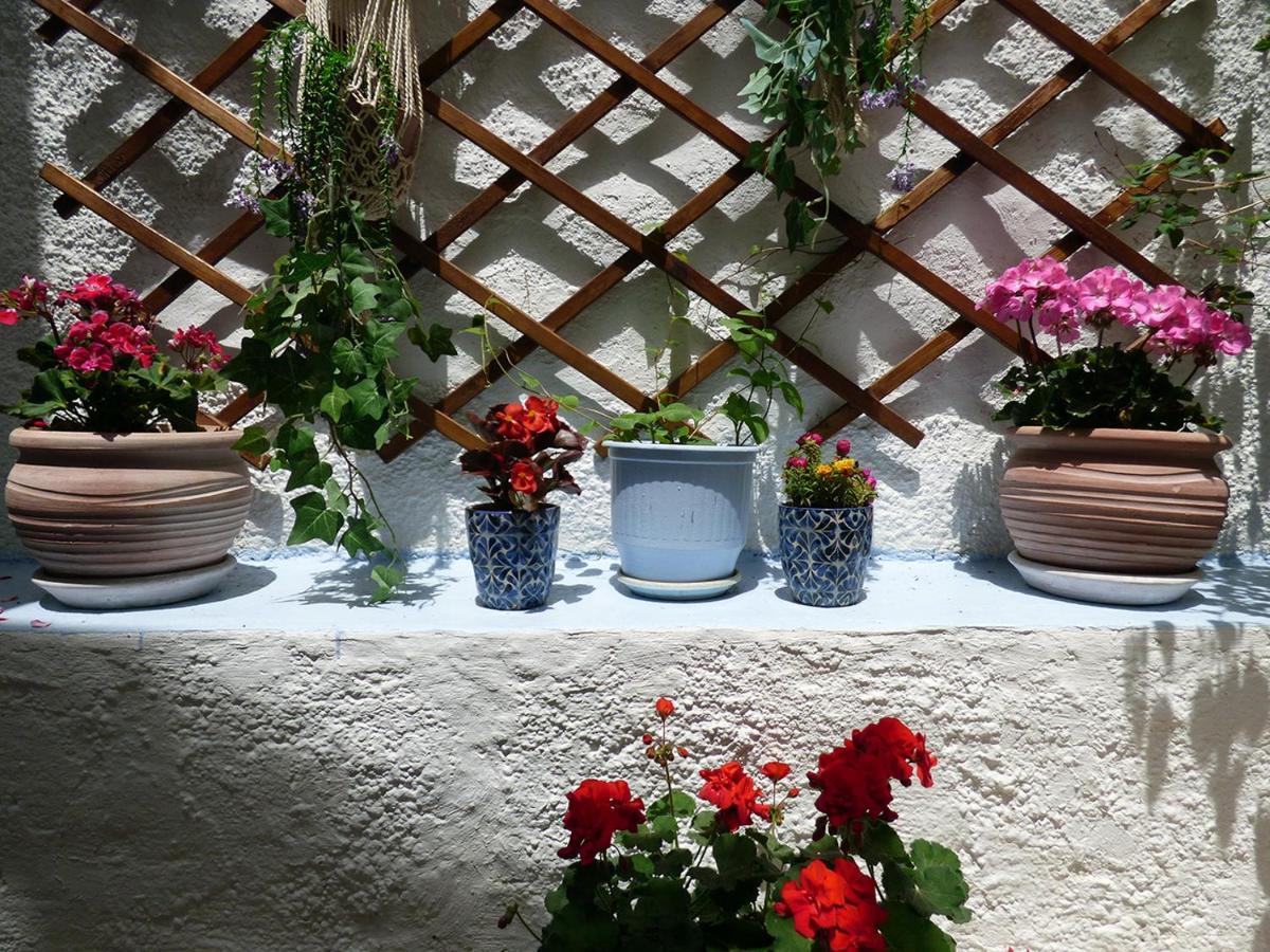 Tasoula Guest House Adamantas  ภายนอก รูปภาพ